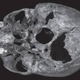 Illustration for article titled Modern Forensics Reveal Gruesome Details Of King Richard IIIs Death